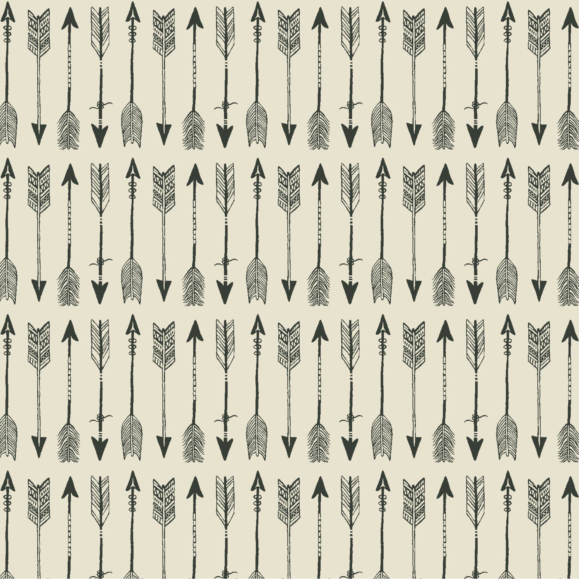 PKL Studio Arrows on White Cotton Home Décor Fabric